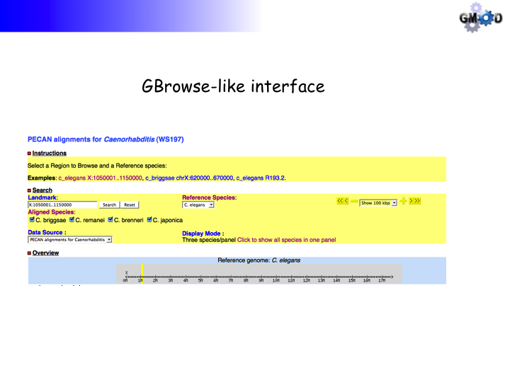 GBrowse synSlide15.png