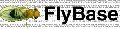 Fly logo.png